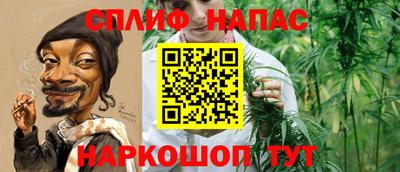 индика Тверь