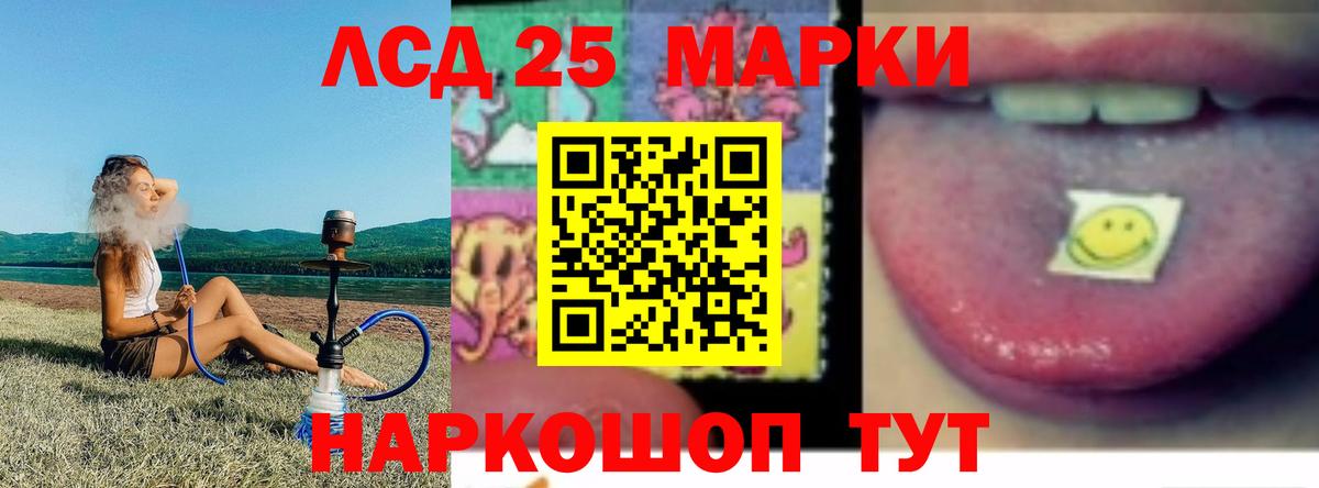   ссылка  ЛСД экстази кислота  Ногинск  Вход с VPN  Лсд 25 экстази кислота 