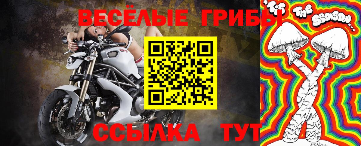 Галлюциногенные грибы прущие грибы  Псилоцибиновые грибы мицелий  Вход с VPN  Ногинск 